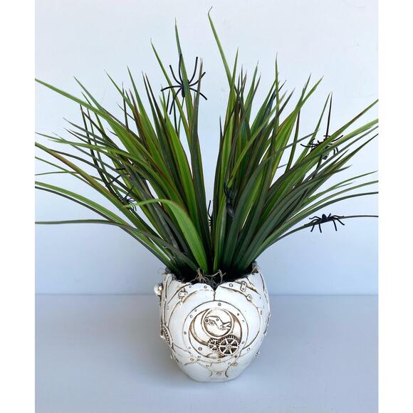 Skull Halloween Decor Plant with Spiders - Skeleton Planter with Faux Plant - Picture 5 of 7